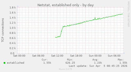 Netstat, established only